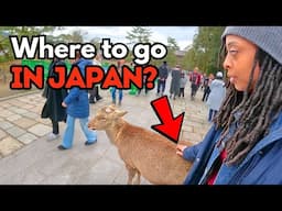 Everything I Showed My Sister in Japan | Another Black Woman in Japan ft.@jolybmore