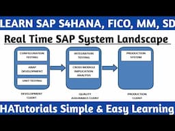 Real Time SAP System Landscape Overview and How to Transport Data from One Client to Another Client