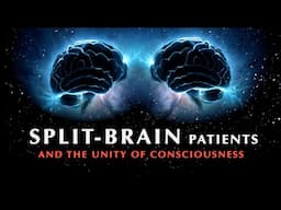 Split-Brain Patients and the Unity of Consciousness | Documentary