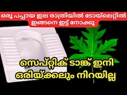 പപ്പായ ഇല കൊണ്ടുള്ള ഈ ട്രിക്കുകൾ കണ്ട് നോക്കൂ ഞെട്ടിപ്പോകും തീർച്ച | Pappaya leaf tips| Easy tips