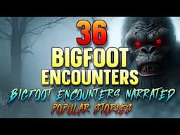 36 BIGFOOT ENCOUNTERS - BIGFOOT ENCOUNTERS NARRATED POPULAR STORIES