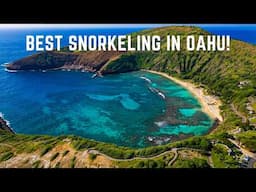 Everything You Need to Know About Hanauma Bay | Oahu, Hawaii