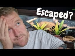 How To Easily Find A Lost ESCAPED Pet Snake!