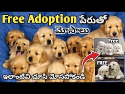 Free adoption ని చూసి మోసపోకండి | Free Adoption Scam | keerthi puppy vlogs telugu