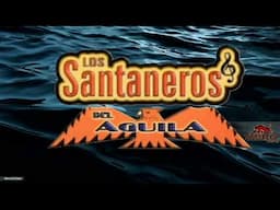 Amor Limosnero Los Santaneros Del Aguila En Vivo