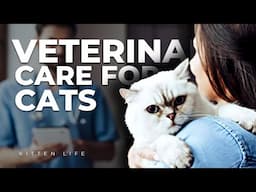 The Importance of Regular Veterinary Care for Cats