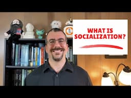 What is Socialization?