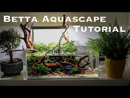 BEAUTIFUL Low-Tech BETTA nano tank aquascaping TUTORIAL (mini pond style) & betta feeding