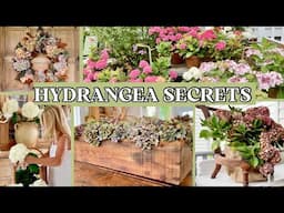 The Ultimate Guide to Growing & Styling Hydrangeas for Home Decor