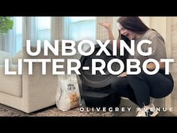 Unboxing the Litter-Robot: How Adopting My Cat Changed My Life!