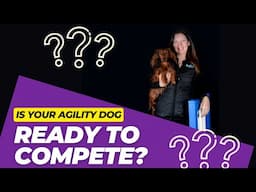 Is Your Agility Dog Ready To Compete?