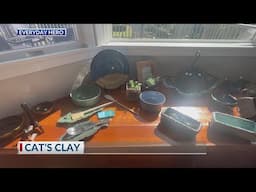 Everyday Heroes: Cat's Clay