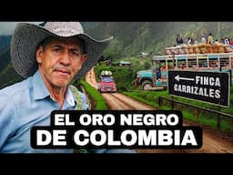 El Oro Negro De Colombia | Documental De Café Colombiano (Versión en Español)