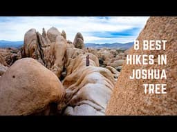 8 Best Hikes in Joshua Tree National Park (#5 is Our Favorite!)