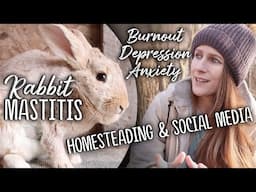 I have been struggling. | Bobcat (the rabbit) got mastitis. Dealing with seasonal depression.