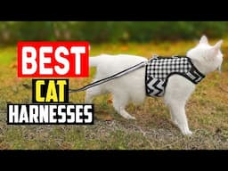 ✅Top 5 Best Cat Harnesses Tested With Real Cats Exploring The Outdoors of 2024