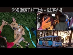 Patong motorcycle taxi driver charged, Popular Patong Smart Bus, Bangkok pet policy || Thailand News