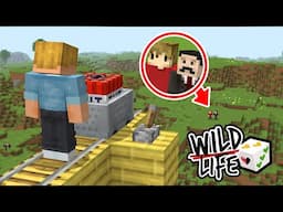 The BEST Day In The LIFE SERIES.. | Wild Life | #4