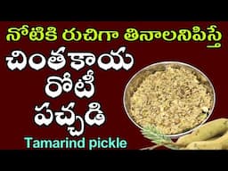 పుల్ల పుల్లని చింతకాయ రోటి పచ్చడి మీ కోసం | Chintakaya Pachadi in Telugu | Tamarind Chutney Recipe