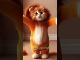 Dancing Cat Videos ! #cat #gatos #catlover  #gatitolindo  #dance