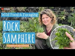 Rock Samphire (Wild Food & Foraging)