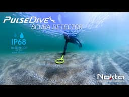 Discover Hidden Treasures Below the Surface with the PulseDive Scuba Detector!