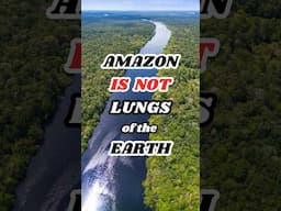 Amazon isn't Exactly the Lungs of the Earth 🌎🫁 #earth #amazon