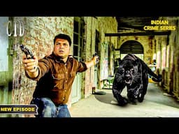 CID ऑफिसर Daya पर जंगली Black Panther ने किया हमला | CID | CID Season 2 | CID 2024 | Full Episode