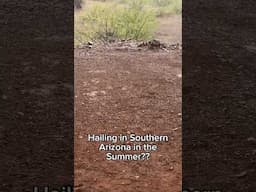 Intense Monsoon Hail in Southern Arizona!