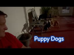 Just Some Puppy Dogs | JustBillyLeBlanc