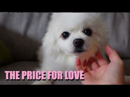 The Price For Love