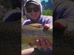 PR Brown Trout! #flyfishing #ladyangler #colorado