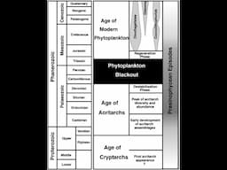 "How CO2 Starvation & Plate Tectonics Caused the Greatest Mass Extinction, the Permian Great Dying"