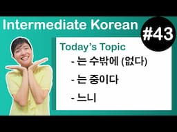 [Learn Korean I４３]  ”-는 수밖에 (없다)”, ”-는 중이다”, ”-느니”