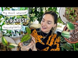 The Most UNUSUAL + Rare Plants In My Collection 🌿