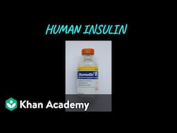 Human Insulin (Humulin) | Biotechnology and its applications | Class XII | Biology | Khan Academy