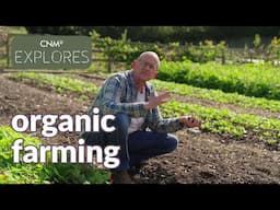 Organic Farming vs Conventional Farming - the benefits and differences of farming organically