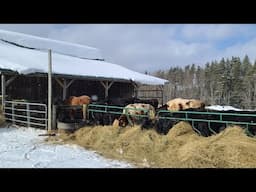 Winter of 21 barreling down on the farm.