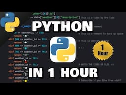 Learn Python in 1 hour! 🐍 (2024)