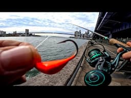 Manhattan & Brooklyn Tautog Fishing East River NYC