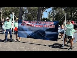 'Thrown to the wind' -- are wind farms really killing whales?