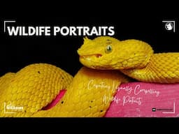 Capturing Visually Compelling Wildlife Portraits