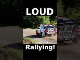 Loud Rallying! #bmw #rally #shorts