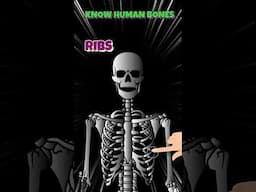 Major Bones in Human Body explained in 40 Seconds