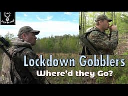 Hunting the DREADED Lockdown / The Toughest part of TURKEY SEASON