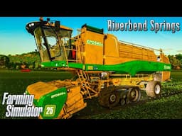 Contract Work: Grass Mowing & Peas Harvest on a Huge Field! Riverbend Springs - FS25 | Ep. 08