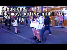 Tokyo Walk, Liven up your Night in Kabukicho｜red light area district Japan 東京 歌舞伎町 4k