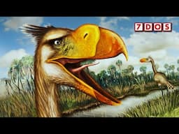 A Gigantic New Terror Bird Has Been Discovered | 7 Days of Science