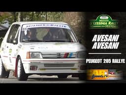 Rally Lessinia 2024 || Avesani-Avesani || Peugeot 205 Rallye