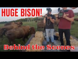 Filming with HUGE BISON!!! Behind the scenes season 3 VLOG